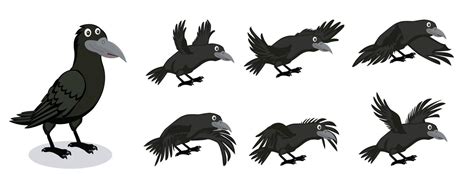 Cartoon Crow character with different style and expansion 8555334 Vector Art at Vecteezy