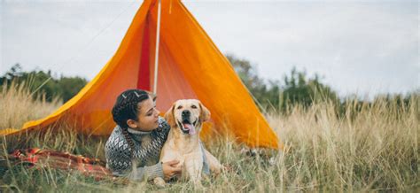 Pet Friendly Camping Sites | Read more | Campsaround