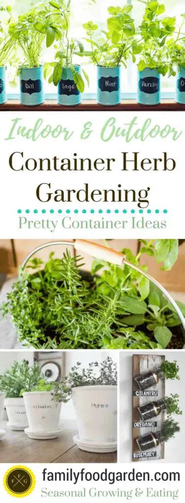 Container Herb Gardens + Herb Garden Ideas | Family Food Garden