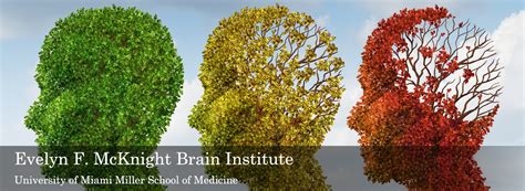 Cognitive Aging and Brain Health - U Miami McKnight Brain Institute