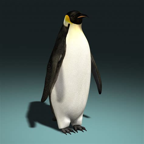 3d penguin animation model