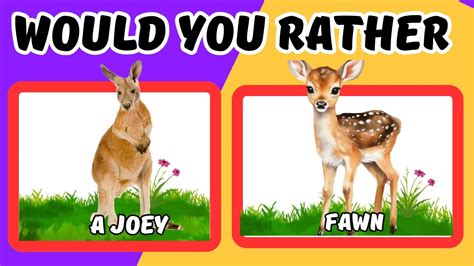 Would You Rather Animal Edition | Would you Rather Quiz - YouTube