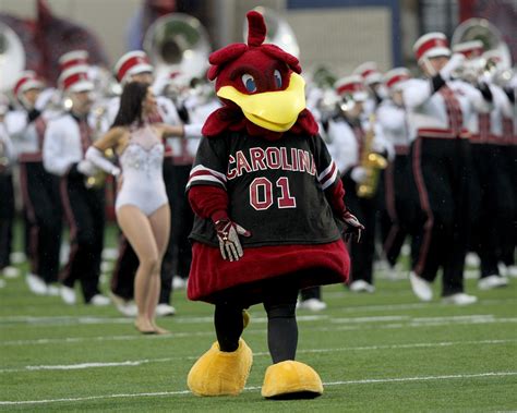 20 interesting South Carolina football facts