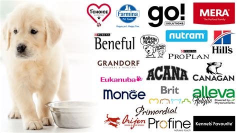 Best Dog Food Brands For Labs Factory Sale | centralcountiesservices.org