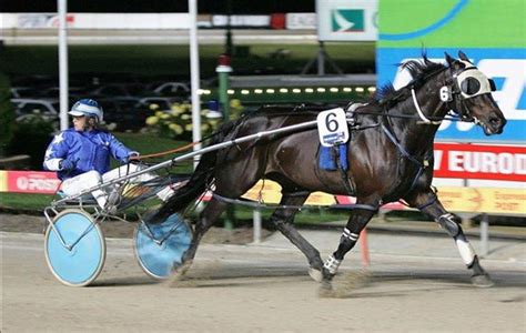 What is Harness Racing?- The Standardbred Horse Race | Ranvet