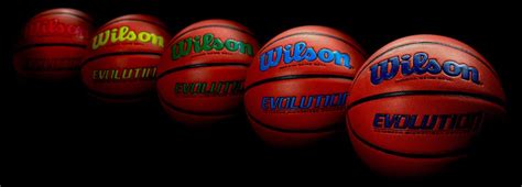 Wilson Evolution Official Basketball (29.5") | DICK'S Sporting Goods