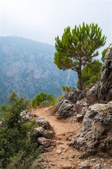 Hiking the scenic border-to-border Lebanon Mountain Trail - Lonely Planet