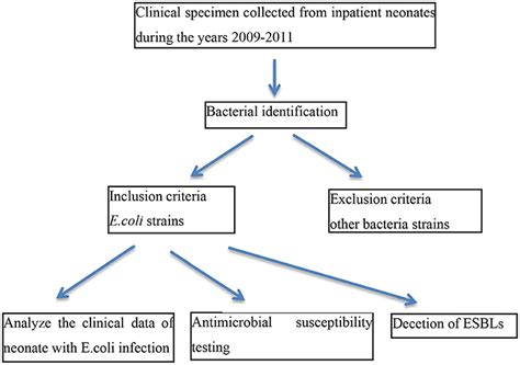 Frontiers | Antimicrobial Resistance Analysis of Clinical Escherichia coli Isolates in Neonatal Ward