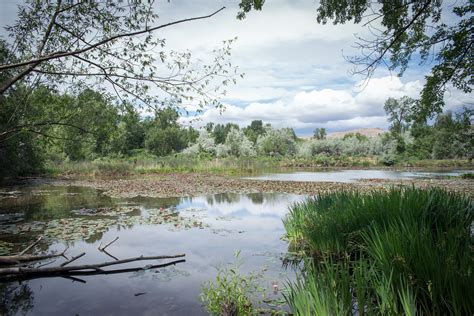 Exploring Yakima Sportsman State Park - YakimaTalk