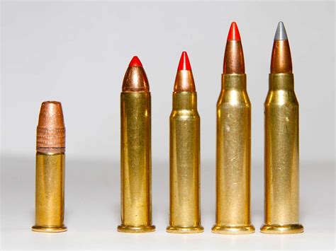 .22mag vs .17hmr vs .17wsm | Sniper's Hide Forum