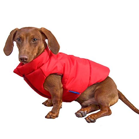 6 Best Dog Coats for Winter in 2020 (Cold, Rain and Bad Weather)