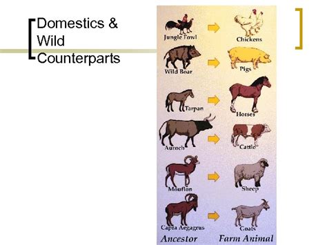 Origins and Implications of Domestication Origins of Domestication