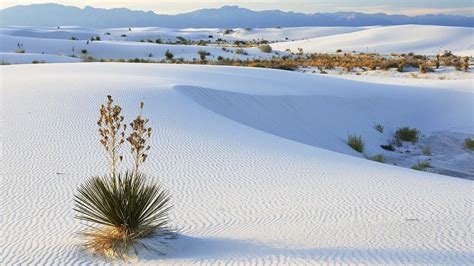 Mui Ne Sand Dunes - White and Red Sand Dunes in Mui Ne