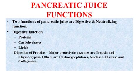 What Is A Major Function Of Pancreatic Juice? | Total Organic