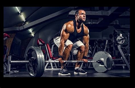 6 Best Exercises for Strength and Hulk Body - Muscles Magician