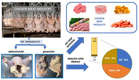 Is Chicken Fat Okay For Dogs