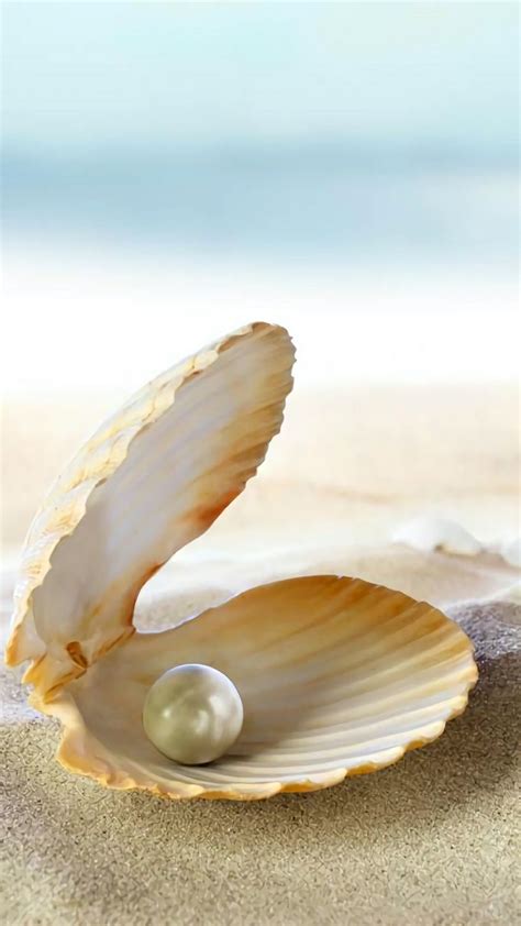 Pin by Jessica Ball on Inspired pins | Pearl paint, Sea theme, Clam pearl