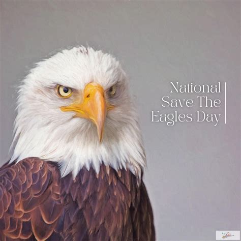 National Save The Eagles Day | Bald eagle, Illustrations posters ...