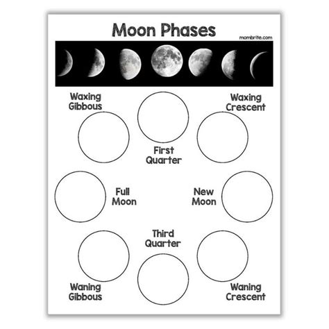 Oreo Cookie Moon Phases Activity [Free Worksheet] | Oreo moon phases, Oreo cookies, Moon phases