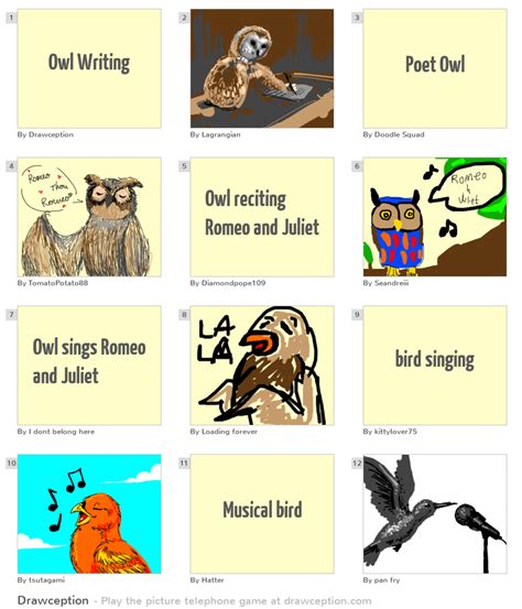 Owl Writing - Drawception