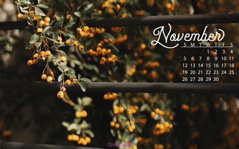 November 2017 - Fall Berries Desktop Calendar- Free November Wallpaper