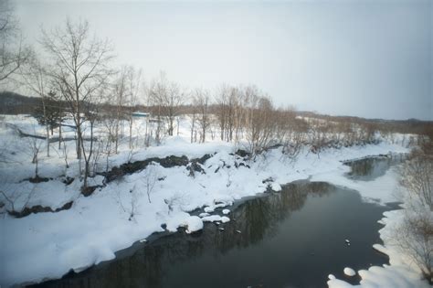 Free Stock photo of Hokkaido Winter | Photoeverywhere