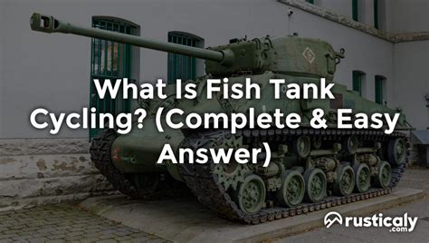 What Is Fish Tank Cycling? (Here's What You Should Know)