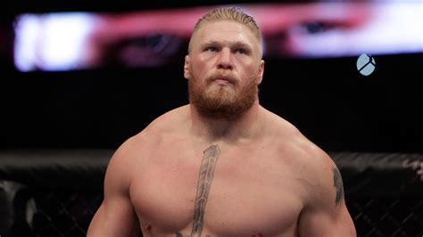 Brock Lesnar Admits He's Done With The UFC, Will Remain A Pro Wrestler