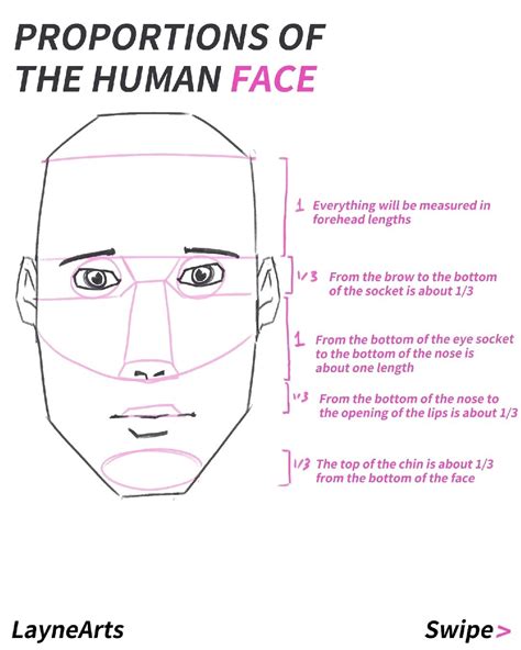 Proportions of the human face by LayneArtsss on DeviantArt