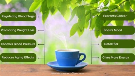 8 Best Health Benefits Of Green Coffee | Queek Coffee