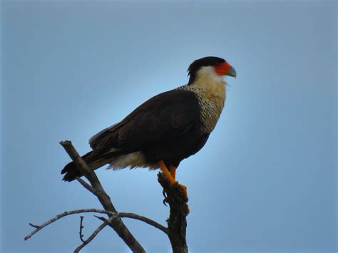 Aransas National Wildlife Refuge Map - South Barrier Coast, Texas - Mapcarta