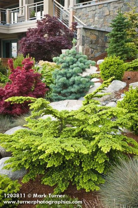 Front Yard Evergreen Landscape Garden 3 | Evergreen landscape, Conifers garden, Garden design