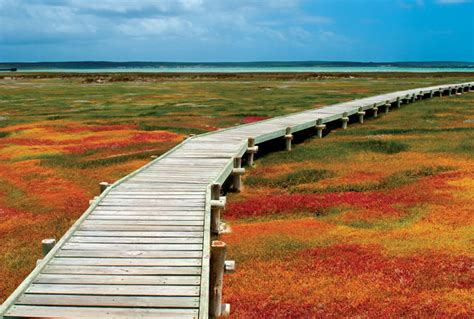 Exploring the West Coast National Park in Spring