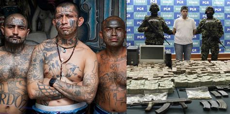 15 Disturbing Facts About Mexican Drug Cartels | TheRichest