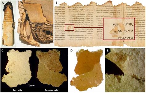 Ancient Roman Parchment