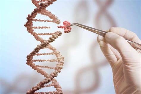 DNA-Veränderung durch CRISPR: Kommt die Kirsche ohne Kern? – Rolling Pin