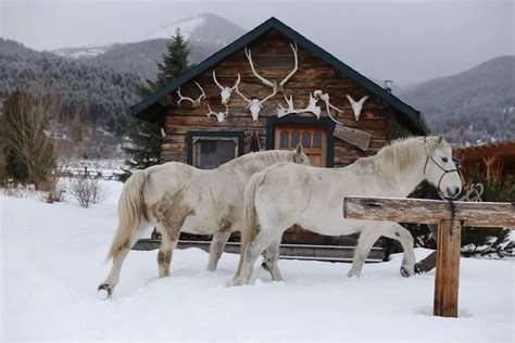 10 best cabins in Bozeman, Montana. Bozeman Mt, Bozeman Montana, Winter Cabin Rentals, Big Sky ...