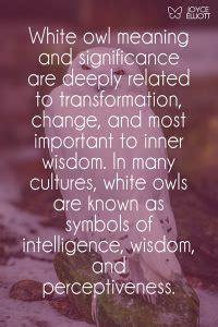 White Owl Meaning: Symbolism, Significance, And Omen - Joyce Elliott