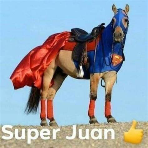 Super Juan 👍 | Memes español graciosos, Imágenes graciosas, Memes de juan