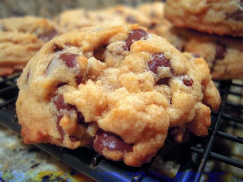 Bisquick Chocolate Chip Cookies | Plain Chicken