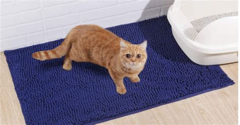 The 8 Best Cat Litter Mats In 2022