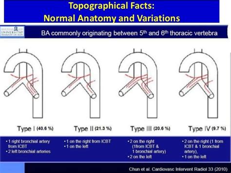 Bronchial Artery Embolization- By Dr.Tinku Joseph