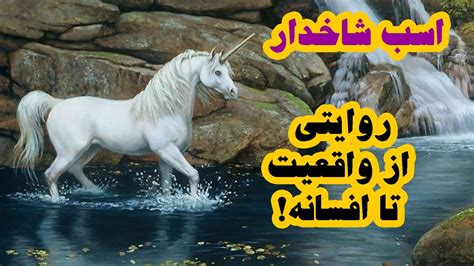 آیا اسب های شاخدار واقعیت دارند؟ - افسانه ای به نام اسب شاخ دار - YouTube