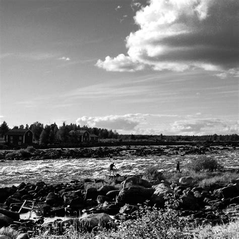 black and white, landscape, river, rocks | Landscape, Landscaping with rocks, Landscape projects