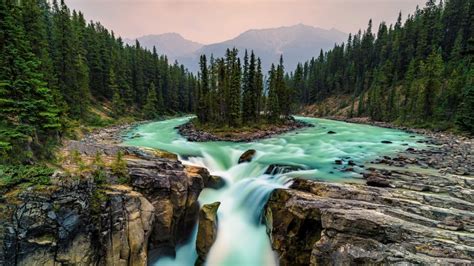 Sunwapta Falls - backiee