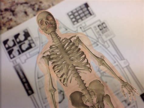 Anatomy 4D - An Augmented Reality Human Body App for IOS | Human body app, Apps for teaching ...