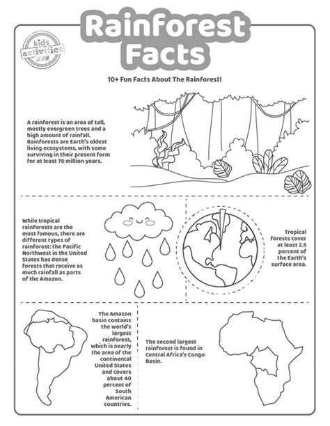 Amazon Rainforest Facts For Kindergarten - Image to u