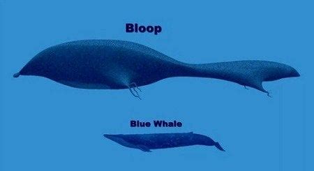 The Bloop : r/thalassophobia