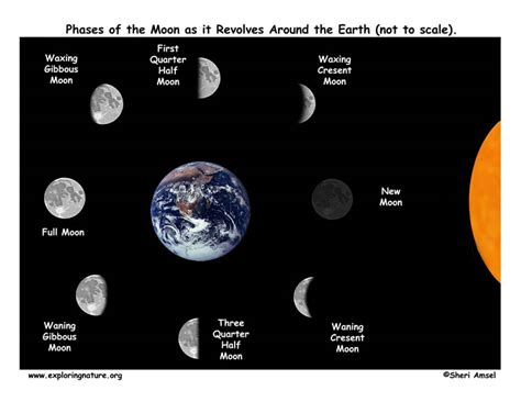 Ask UP AstroSoc: Q5: Are the phases of the Moon the same all over the ...