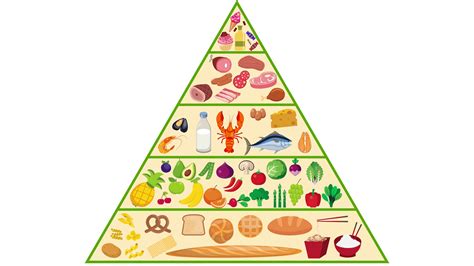 Food Pyramid Nutrition Animation Motion Background - Storyblocks Video